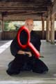 SENSEI. José Luis Salas Godino